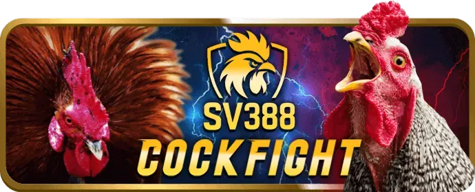 Giao diện thân thiện và dễ sử dụng của P88BET